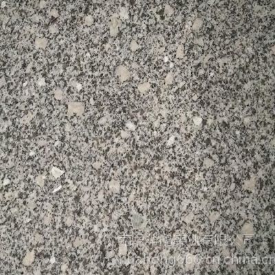 白色花崗巖梨花白板材 華鴻石業供應600*600*15mm磨光面廚房臺面